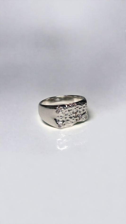 πππ πππππππ (silver)